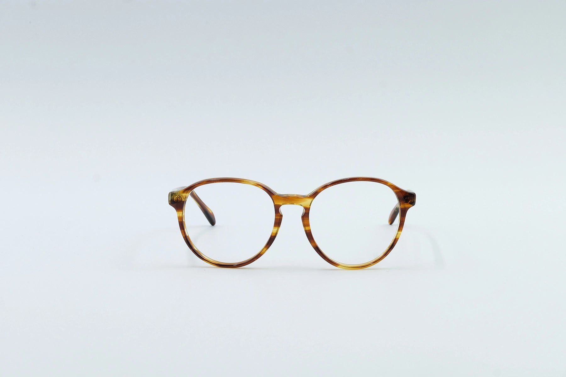 Maryann Scott (Tortoise)