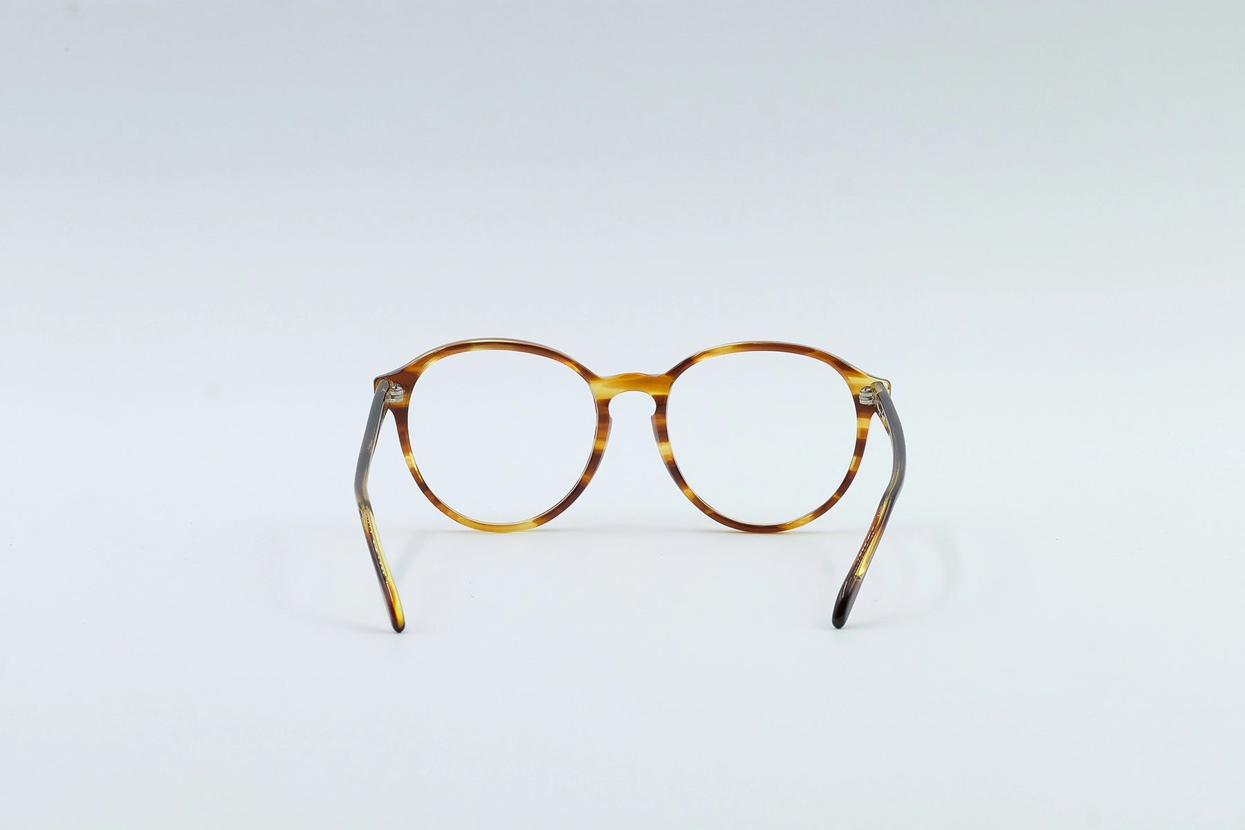 Maryann Scott (Tortoise)